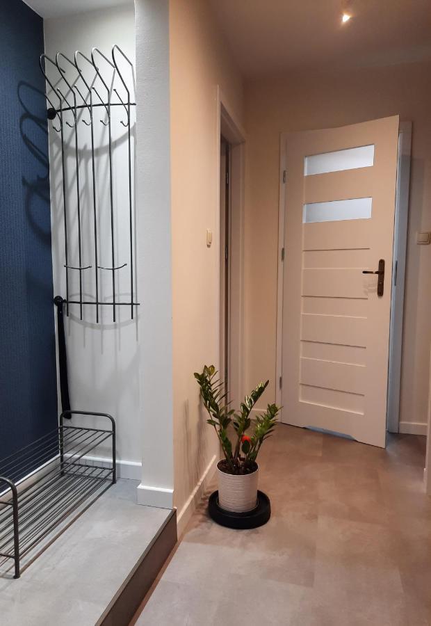 Apartament W Centrum Wroclawia Lejlighed Eksteriør billede